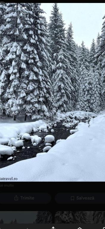 米奥修德萨斯Vila Emage的电视屏幕上显示着白雪皑皑的树木和一条河流