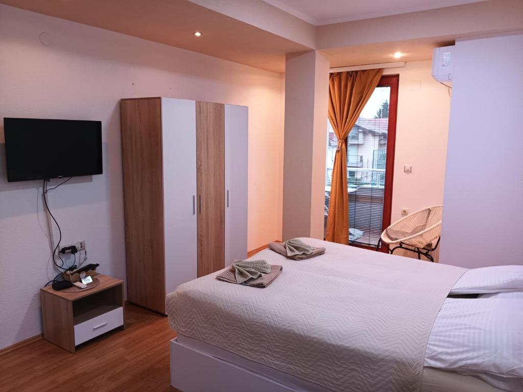 a hotel room with a bed and a television at Apartment Riki 2 in Ohrid