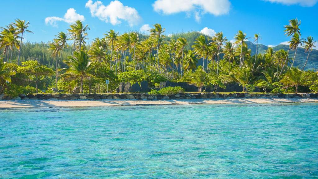 an island in the ocean with palm trees at HUAHINE- Fare la Mer in Parea