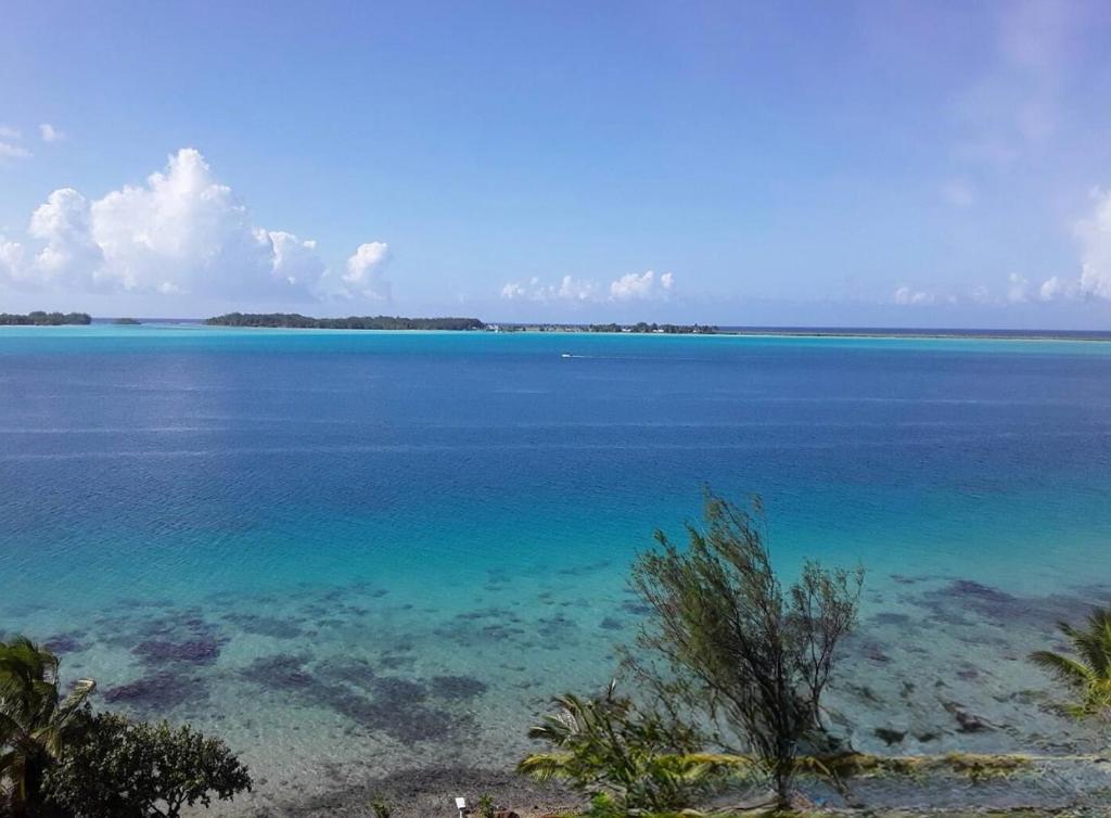 Studio with a view of a heavenly lagoon - photo 10 - Bora Bora, Polynésie