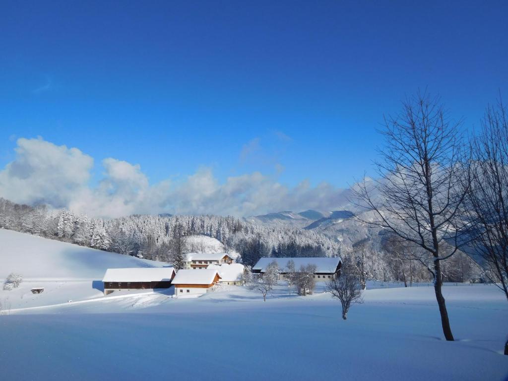 un campo cubierto de nieve con una casa y un árbol en Urlaub am Bauernhof Blamauer Köhr, en Göstling an der Ybbs