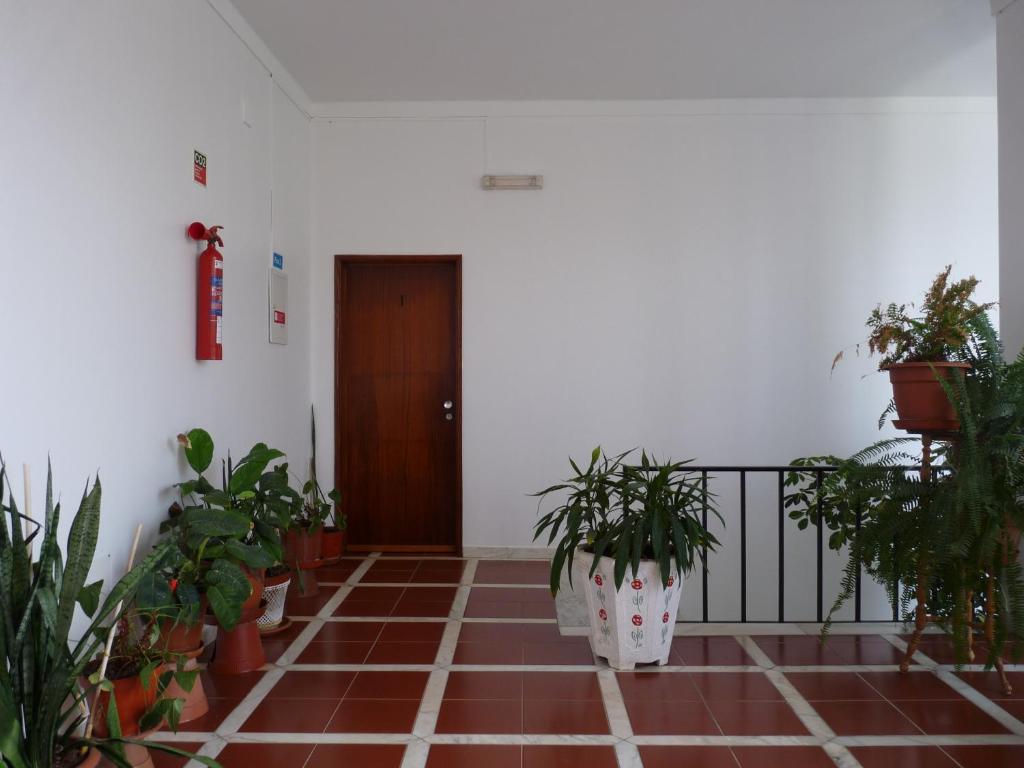 a hallway with potted plants and a door at Residencial o Bras in Alvaiázere