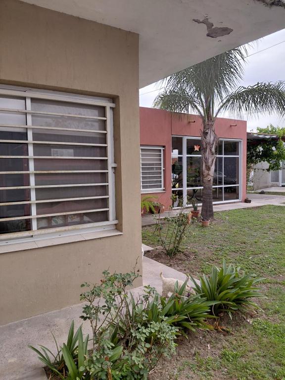 ein Haus mit einer Palme neben einem Gebäude in der Unterkunft Cabañas Mundo al revés in La Silleta
