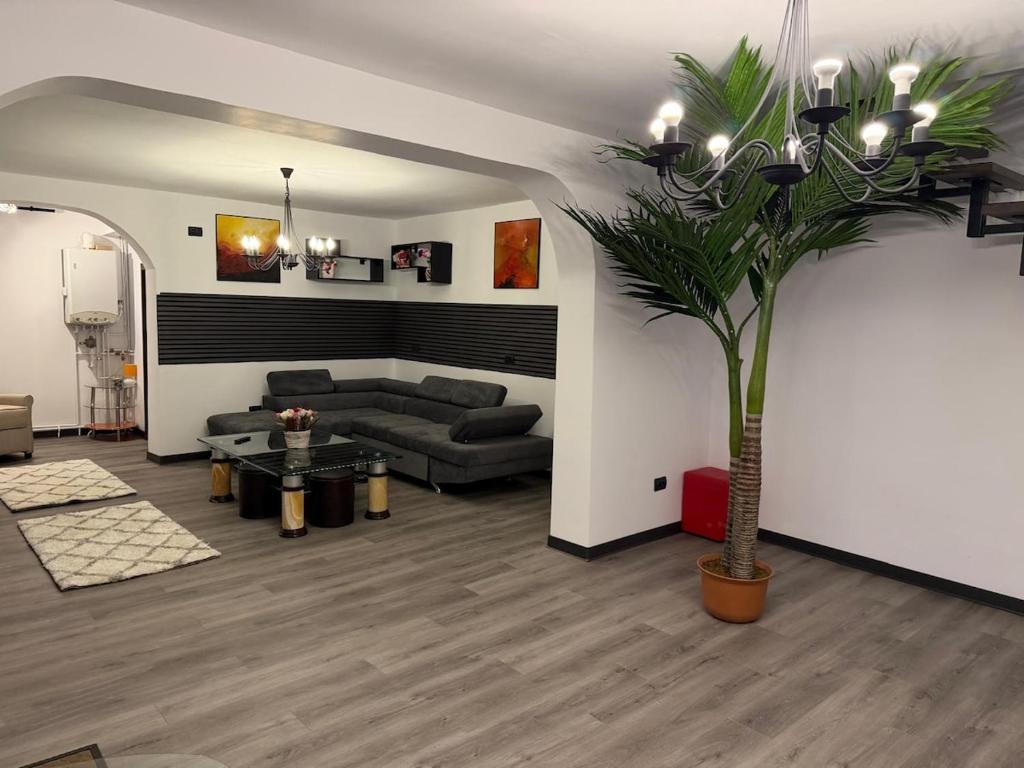 克拉约瓦Central Villa的带沙发和棕榈树的客厅