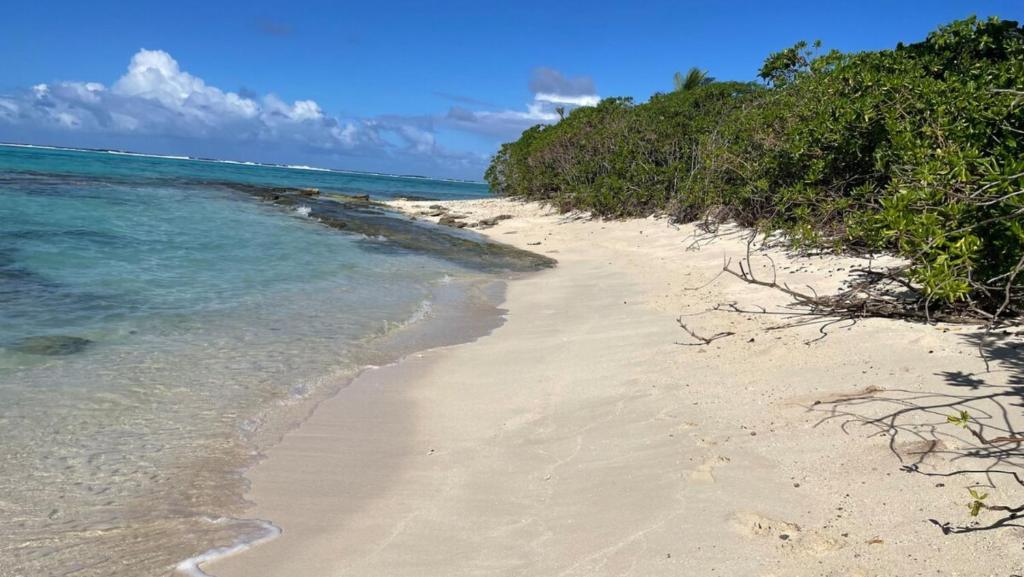 HUAHINE- Fare Arc-en-Ciel - photo 11 - Huahine, Polynésie