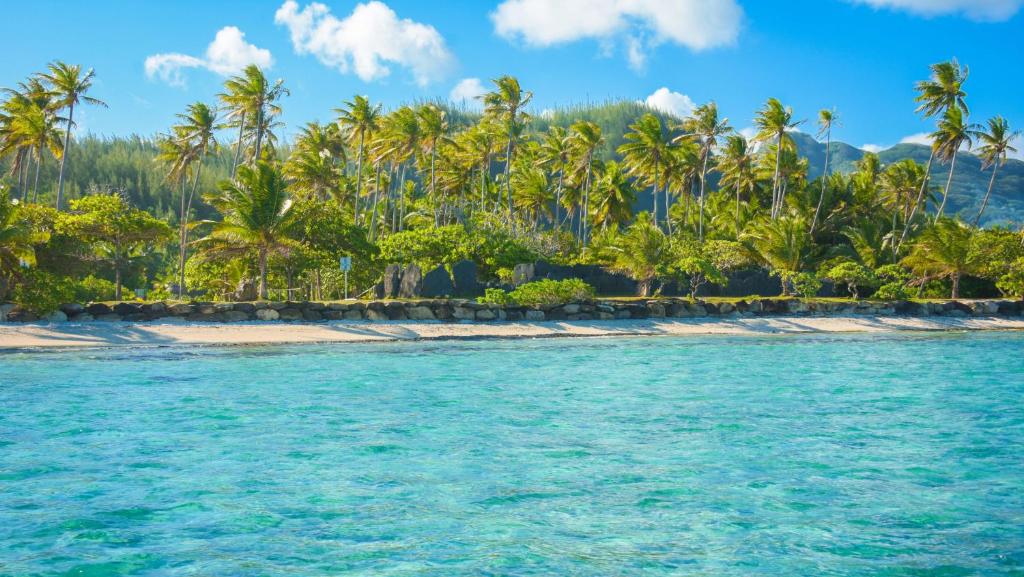 HUAHINE- Fare Arc-en-Ciel - photo 6 - Huahine, Polynésie