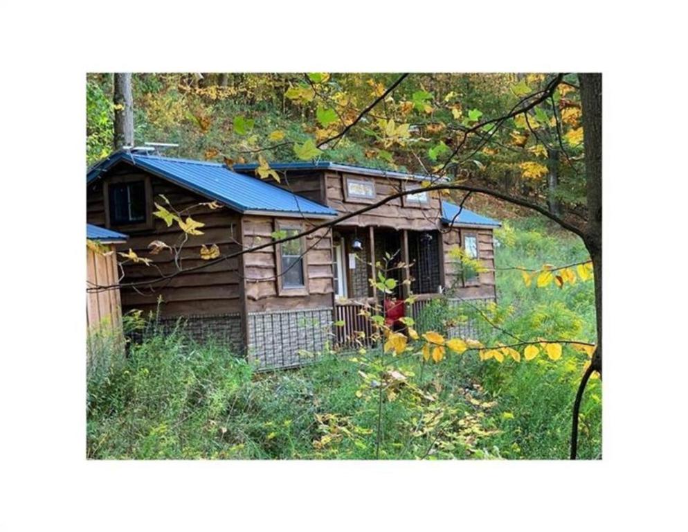 una vecchia capanna di legno con il tetto blu di Papa Bear Cabin 