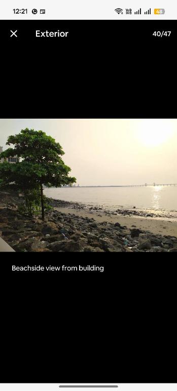 ein Bild von einem Baum am Strand in der Unterkunft Seaface Bldg1BHK Luxe service flat, Mumbai in Mumbai