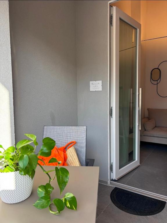 a plant sitting on a table in a room at NALI Apartment 2 in Civitanova Marche