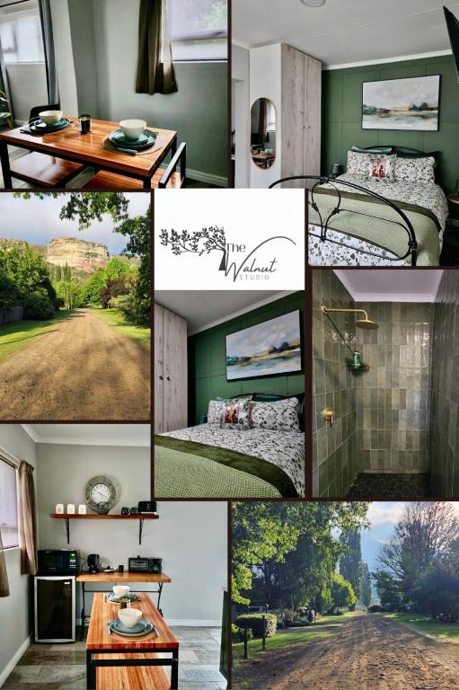 a collage of photos of a room with green at Walnut Studio in Clarens