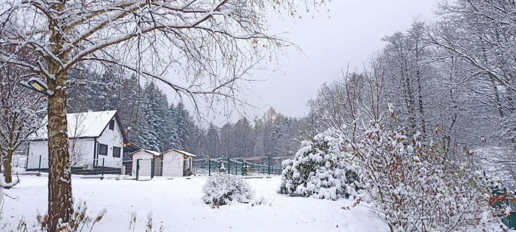 une cour enneigée avec une maison et des arbres dans l'établissement Wiśniowe Zacisze - Agroturystyka, à Sułkowice