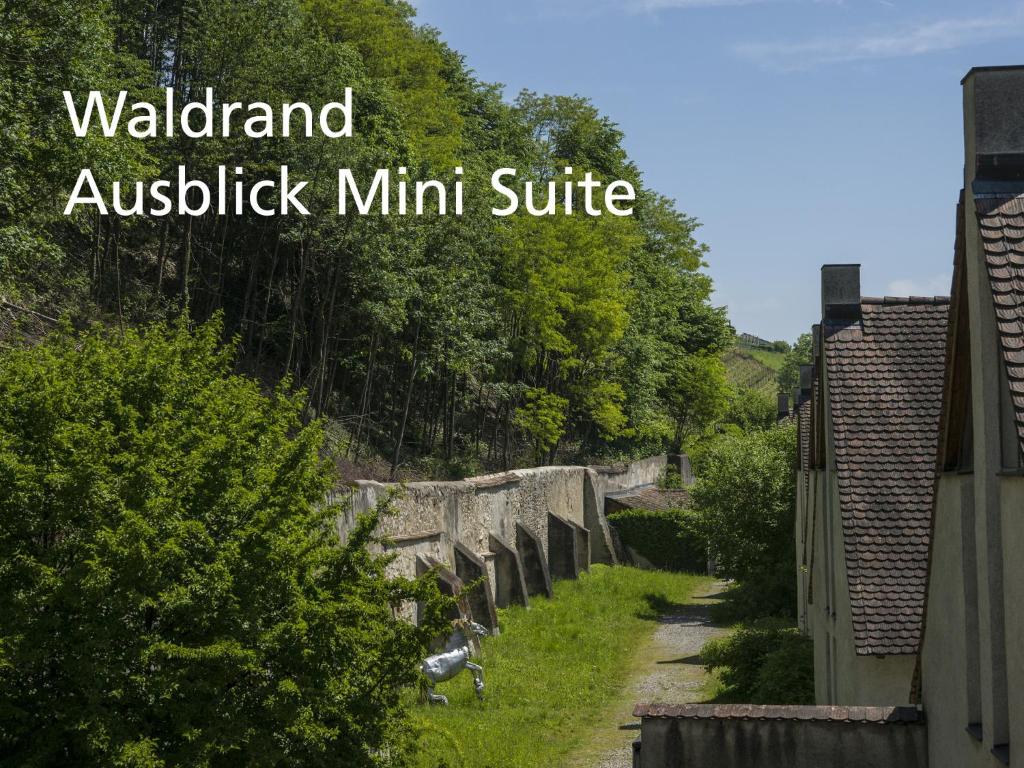 Příroda nedaleko hotelu