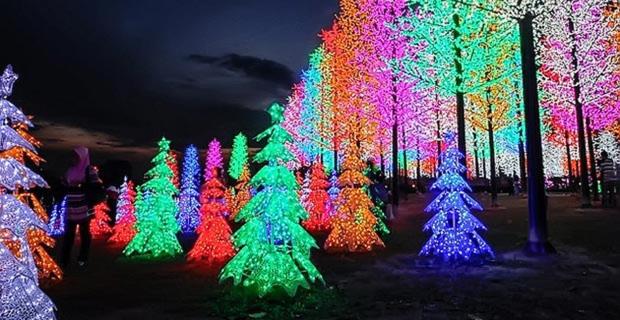 un groupe de sapins de Noël décorés de lumières dans l'établissement Doraemon I-City House, Hyde Tower I-City, Seksyen 7, Shah Alam Selangor, à Shah Alam