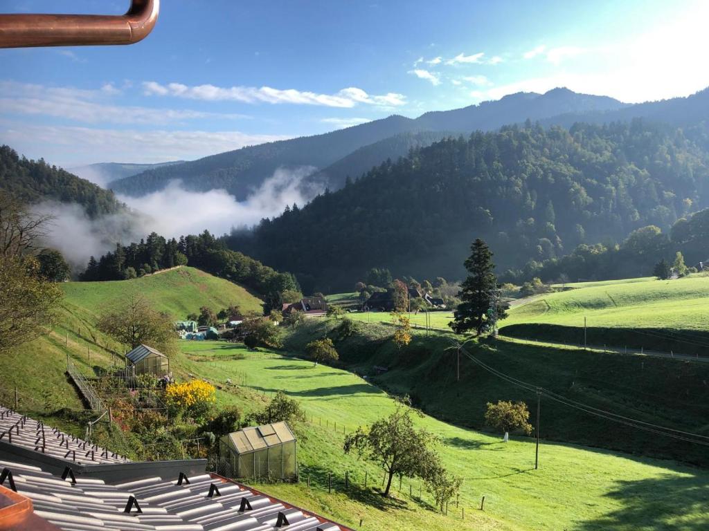 a view of a valley with clouds in the hills at Daislehof in Münstertal