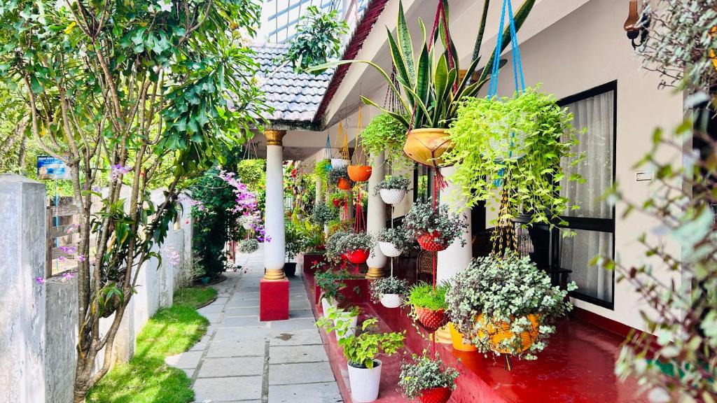 Un callejón con plantas en macetas al costado de un edificio. en Marari Beach Cleetus Homestay, en Alleppey
