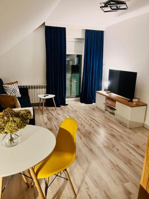TV a/nebo společenská místnost v ubytování Apartament Studio Sasankowa z bezpłatnym parkingiem
