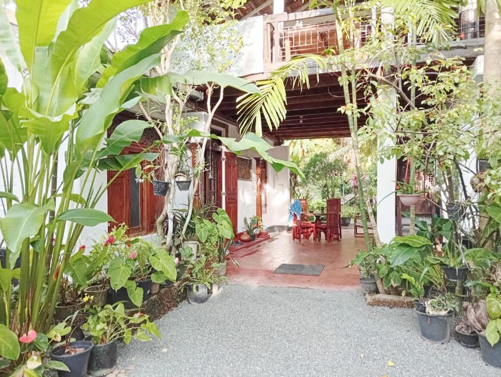 Hill Side Kings Villa (Colonial Bungalow)