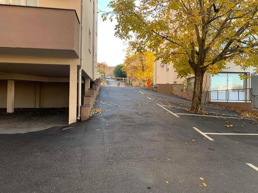 Die Umgebung um die Ferienwohnung