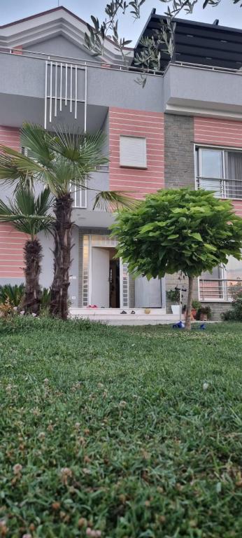 two palm trees in front of a house at Reos villa in Polisi i Vogël