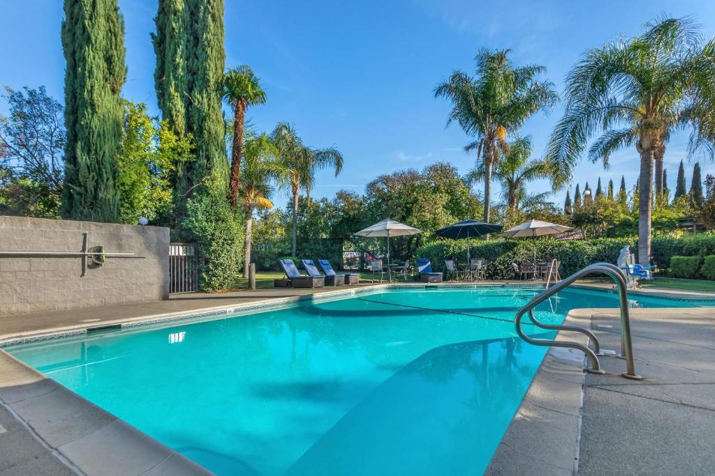 a swimming pool with blue water and palm trees at University Park Inn & Suites, an Ascend Collection Hotel in Davis