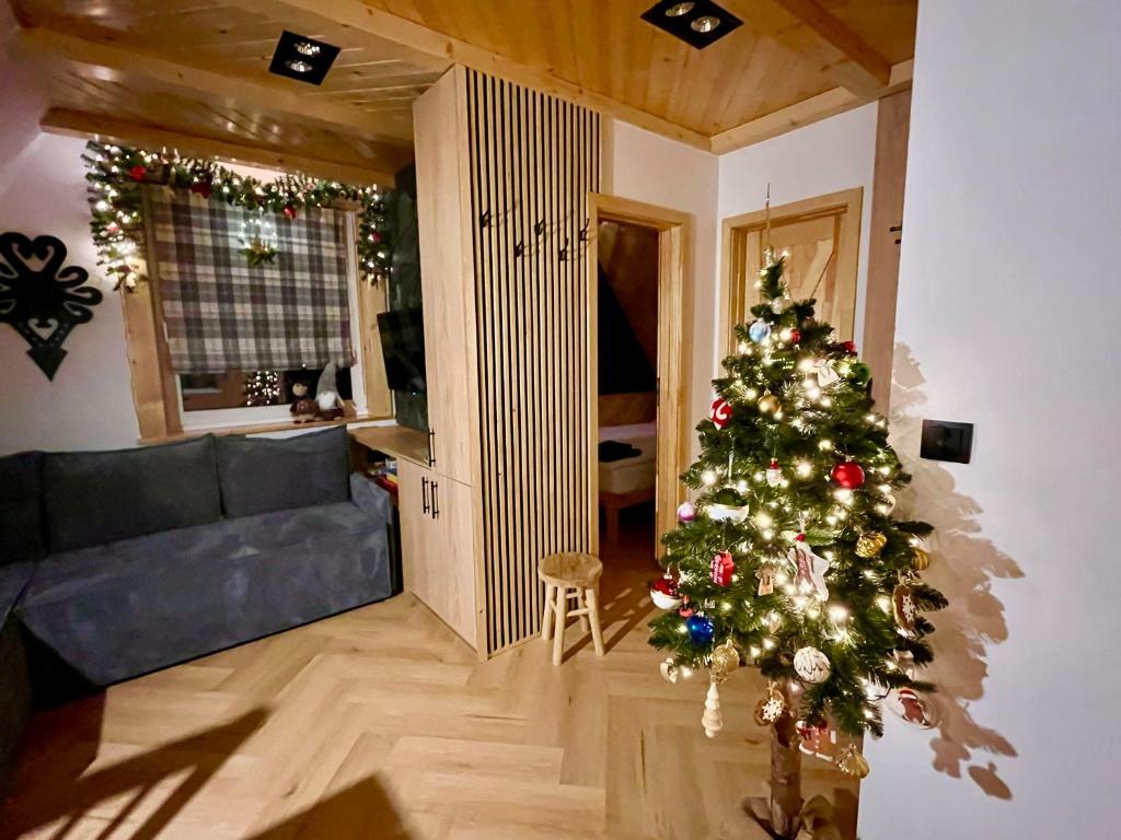 a christmas tree in a living room with a couch at Apartamenty pod Tatrami in Zakopane