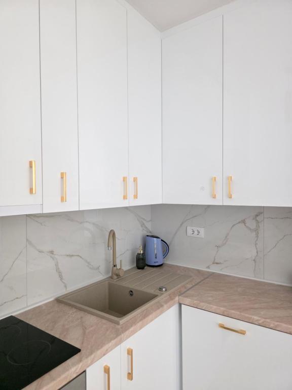 Η κουζίνα ή μικρή κουζίνα στο Apartman N Pale