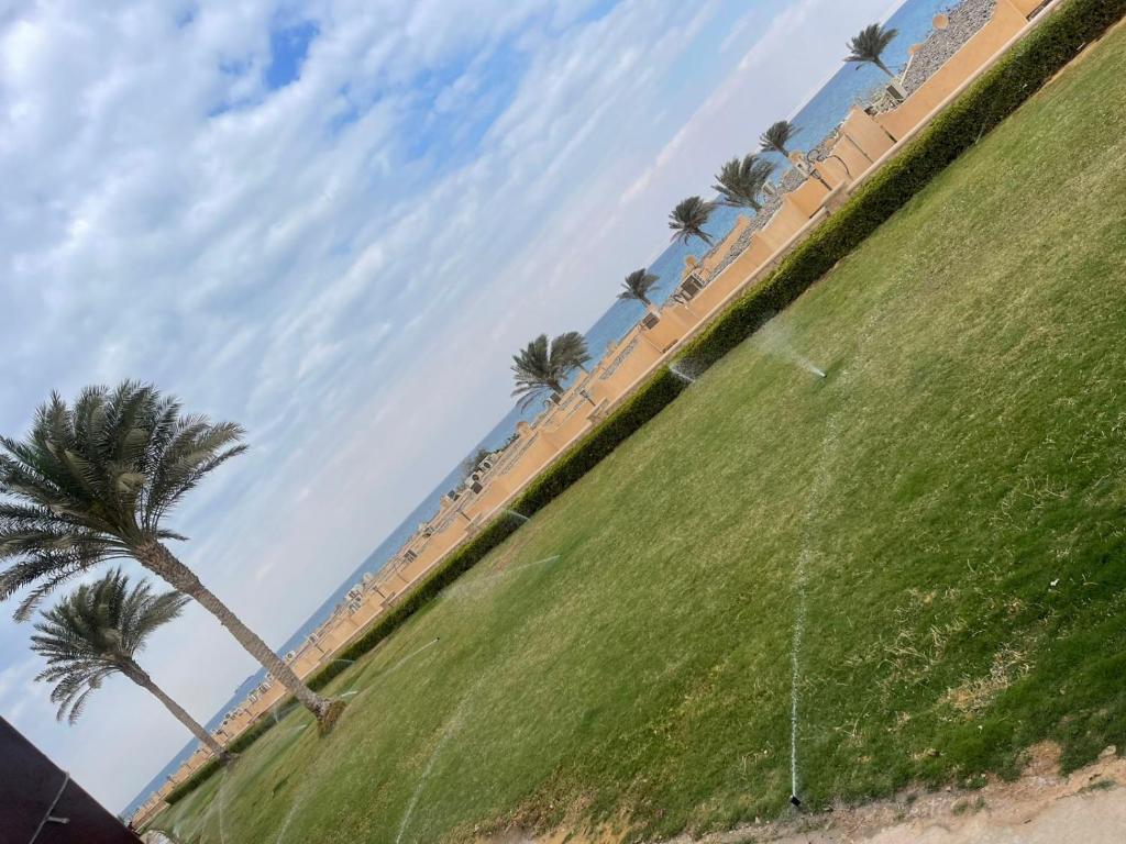een rij palmbomen op een met gras begroeide heuvel bij فيلا شيري in Ain Sokhna