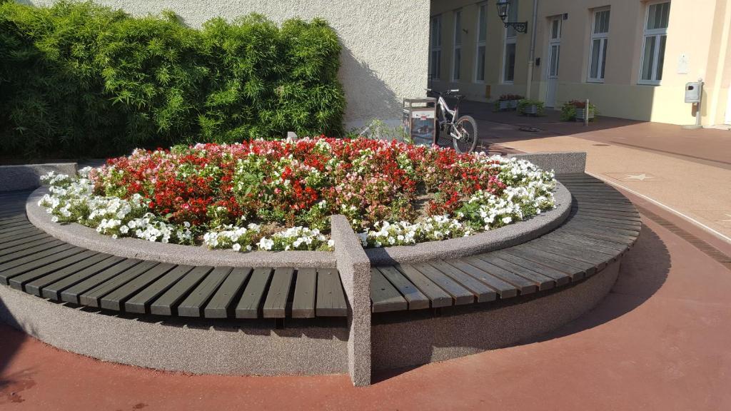 Vonkajšia záhrada v ubytovaní Angela Main Street Luxury Oasis & Free parking
