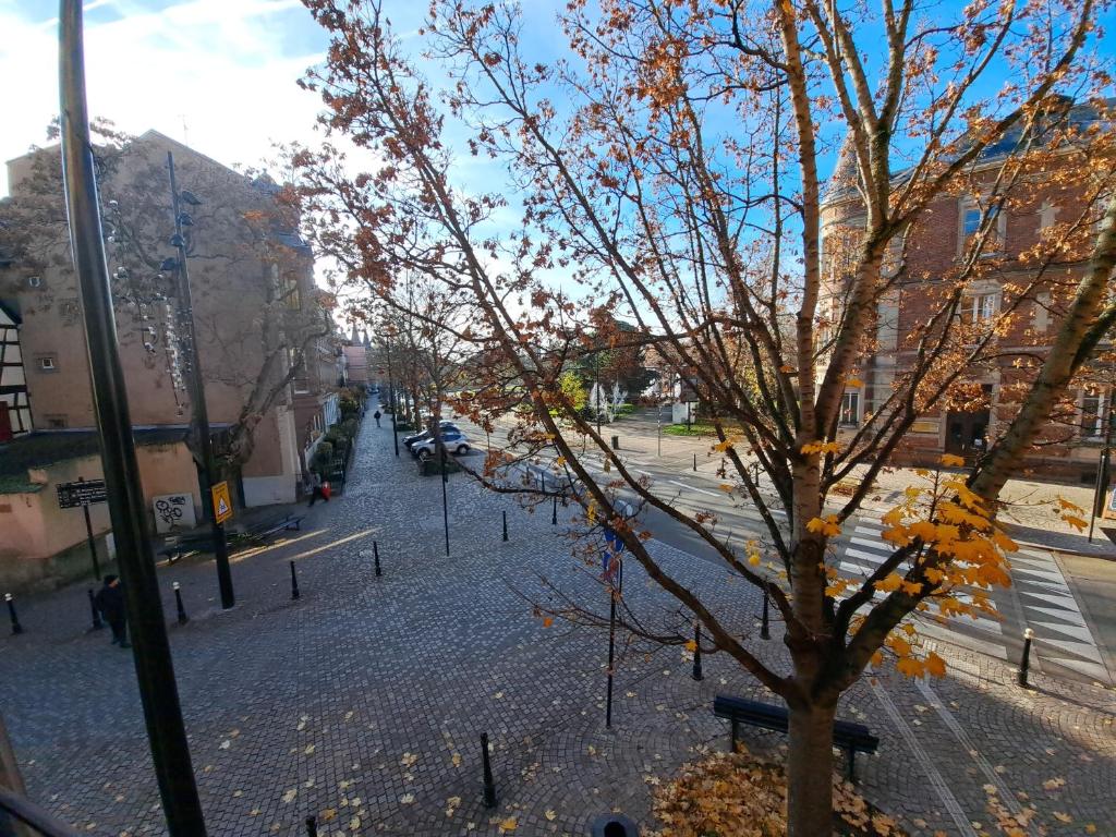Le Rohan – photo 11