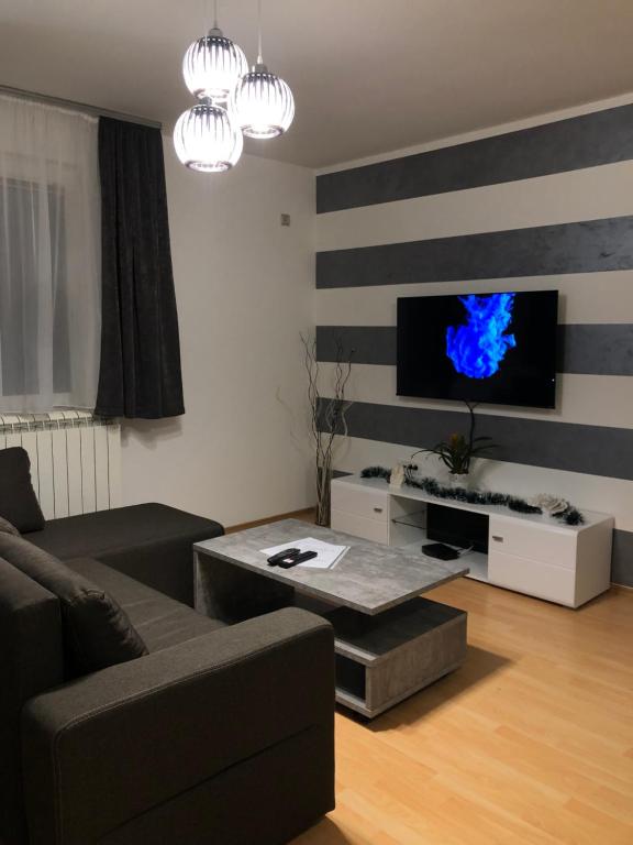 TV a/nebo společenská místnost v ubytování Apartman Lav