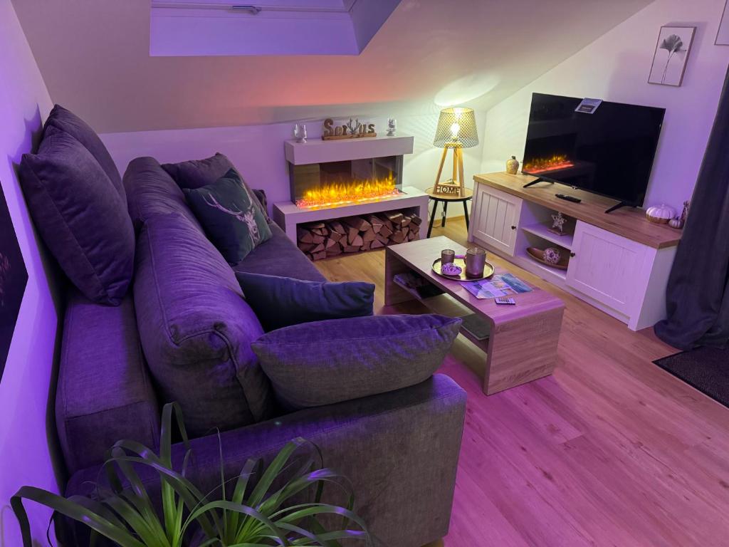 salon z fioletową kanapą i kominkiem w obiekcie Schwarzwaldliebe Ferienwohnung mit eigenem Garten w mieście Gaggenau