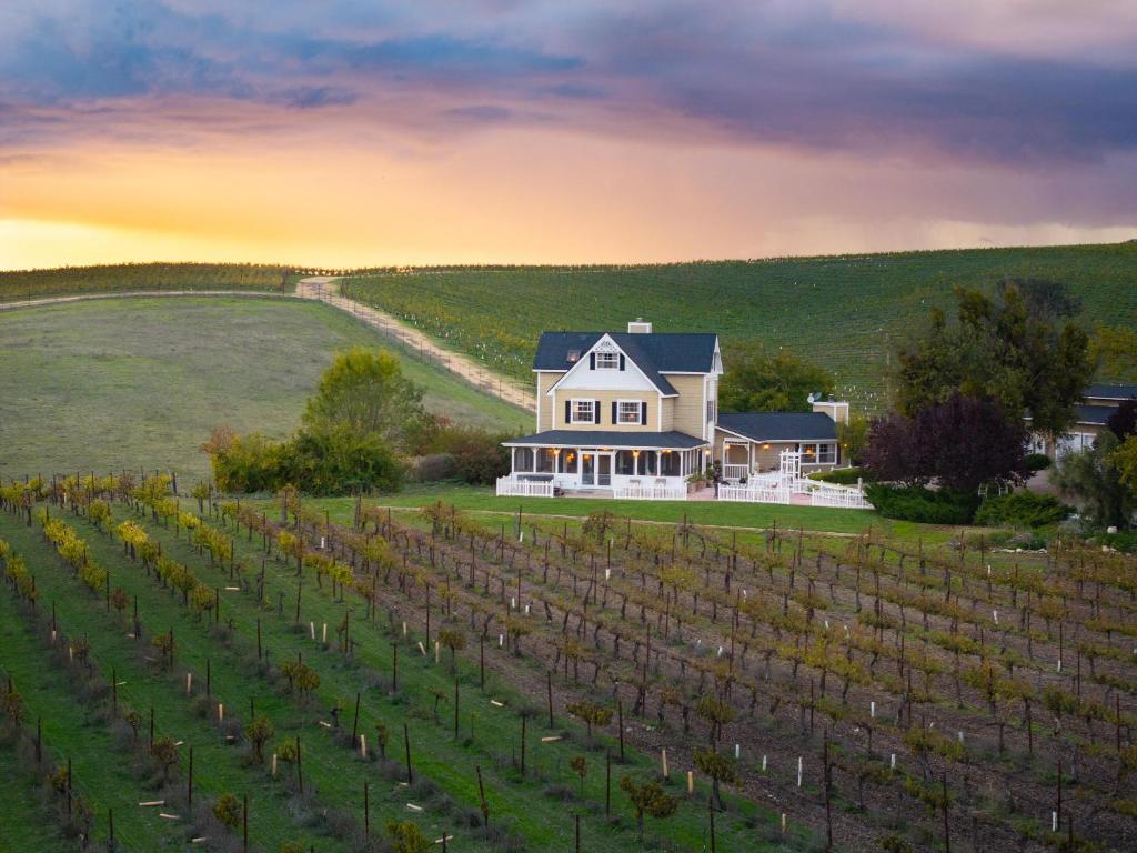 een huis in een wijngaard met een bos van wijnstokken bij Vineyard Retreat in Templeton