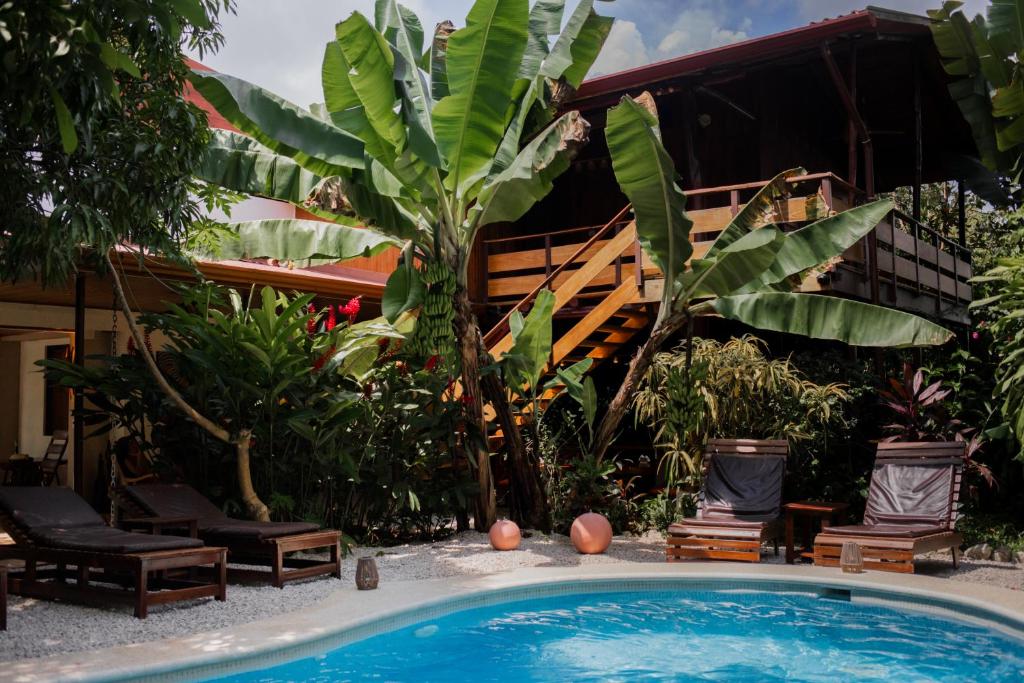 a pool in front of a house with a palm tree at Samara Chillout Lodge - Adults only in Sámara