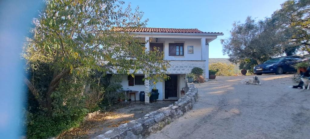 une maison au bord d'une route dans l'établissement Casa Clementina Guest house, 