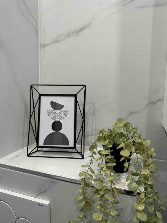 Beautiful Studio Near Basel 2 pers parking – photo 17