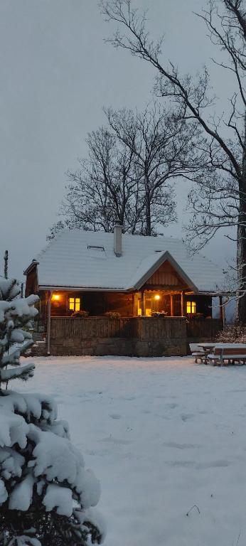 ein Blockhaus mit eingeschalteten Lichtern im Schnee in der Unterkunft Cozy wooden house Robinia in Otočac