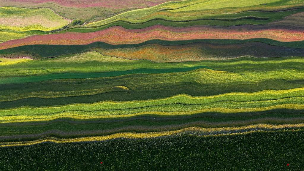 a painting of green and yellow stripes on a hill at Zum Herold in Thale