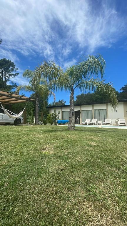 una palma in un campo di fronte a un edificio di Calma a Punta Colorada