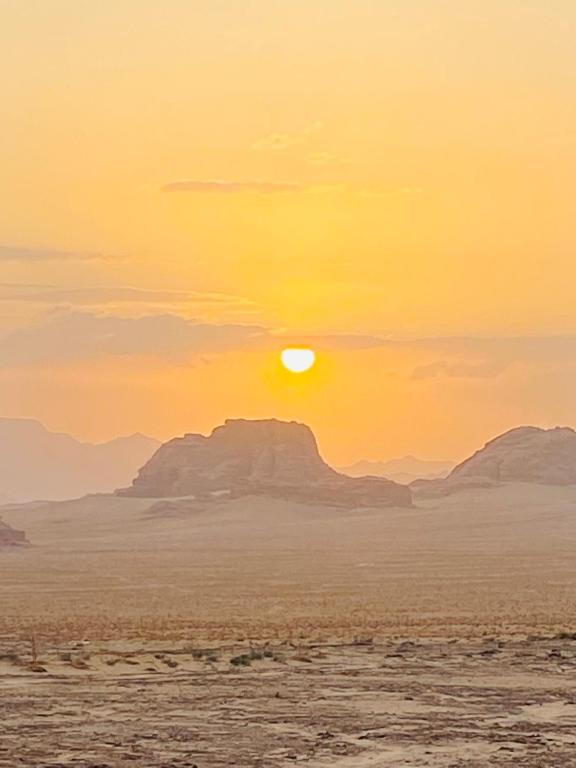 سفينة الصحراء وادي رم