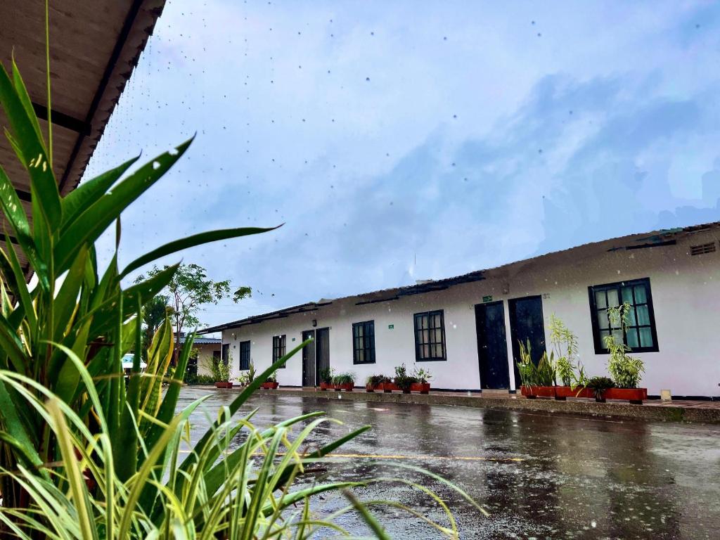 a building in the rain with plants in the foreground at Hotel San Pedro in Monterrey
