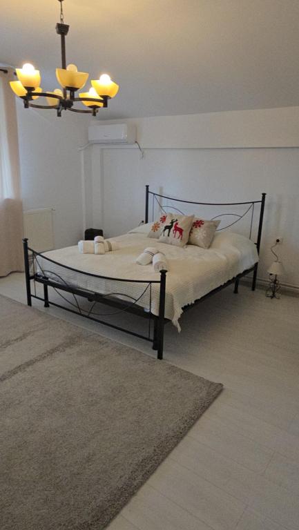 Voodi või voodid majutusasutuse Relax studio Craiovita toas