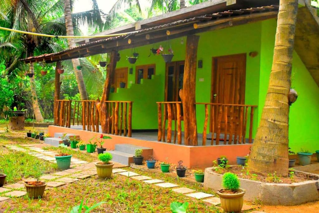 a green house with potted plants in front of it at Wild Safari River Cottage Udawalawa in Udawalawe