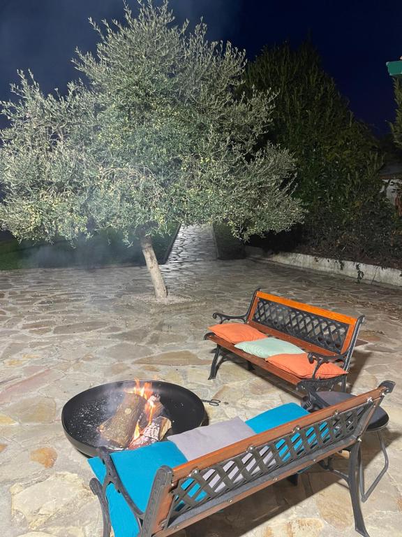 eine Feuerstelle und eine Bank neben einem Baum in der Unterkunft Quinta de Toubres in Murça