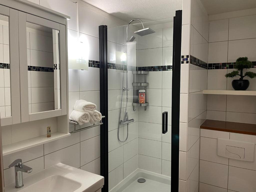 Appartement la petite Venise – photo 3