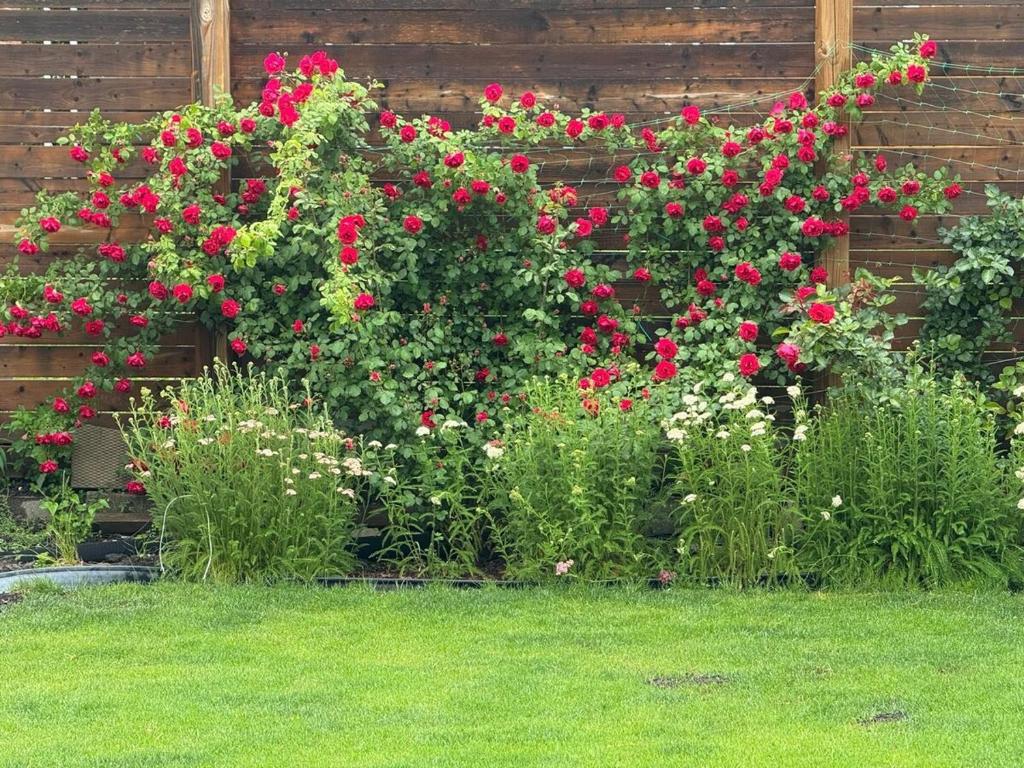 Vườn quanh King Bed Ensuite Toilet Central Mississauga