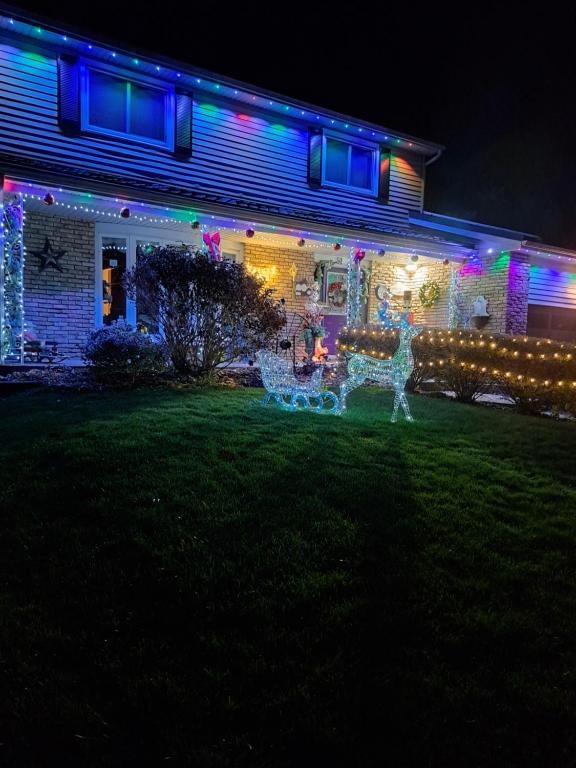 Κήπος έξω από το Carrousel Bed & Breakfast