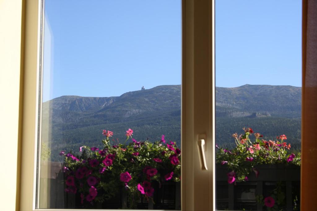 Nespecifikovaný výhled na hory nebo výhled na hory při pohledu z bed and breakfast