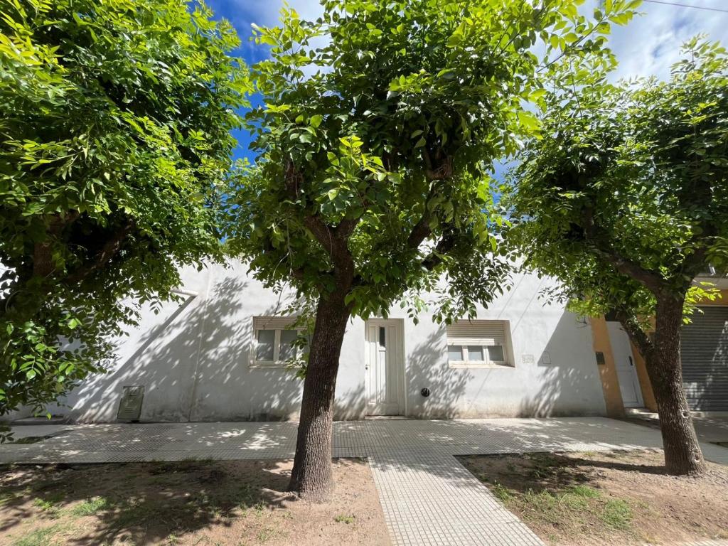 due alberi davanti a un edificio bianco di DEPTO PAZ a Dolores