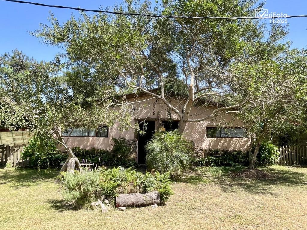 une maison avec des arbres et des plantes devant dans l'établissement Punta Avellaneda, à Punta del Diablo