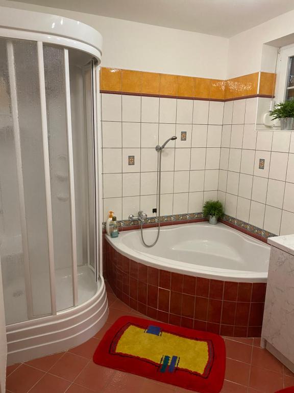 a bathroom with a tub and a shower and a rug at Chata u Špičáku in Albrechtice v Jizerských horách